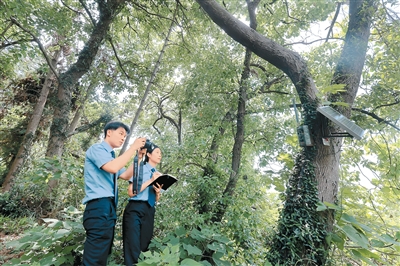“守护朱鹮家园”（侨乡新貌）