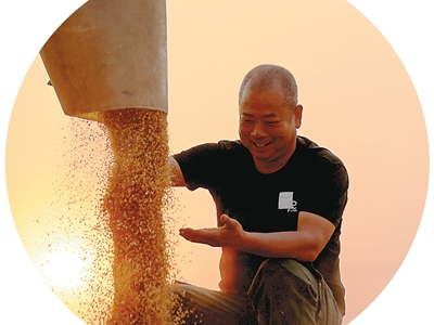 初夏农事忙 处处好“丰”景