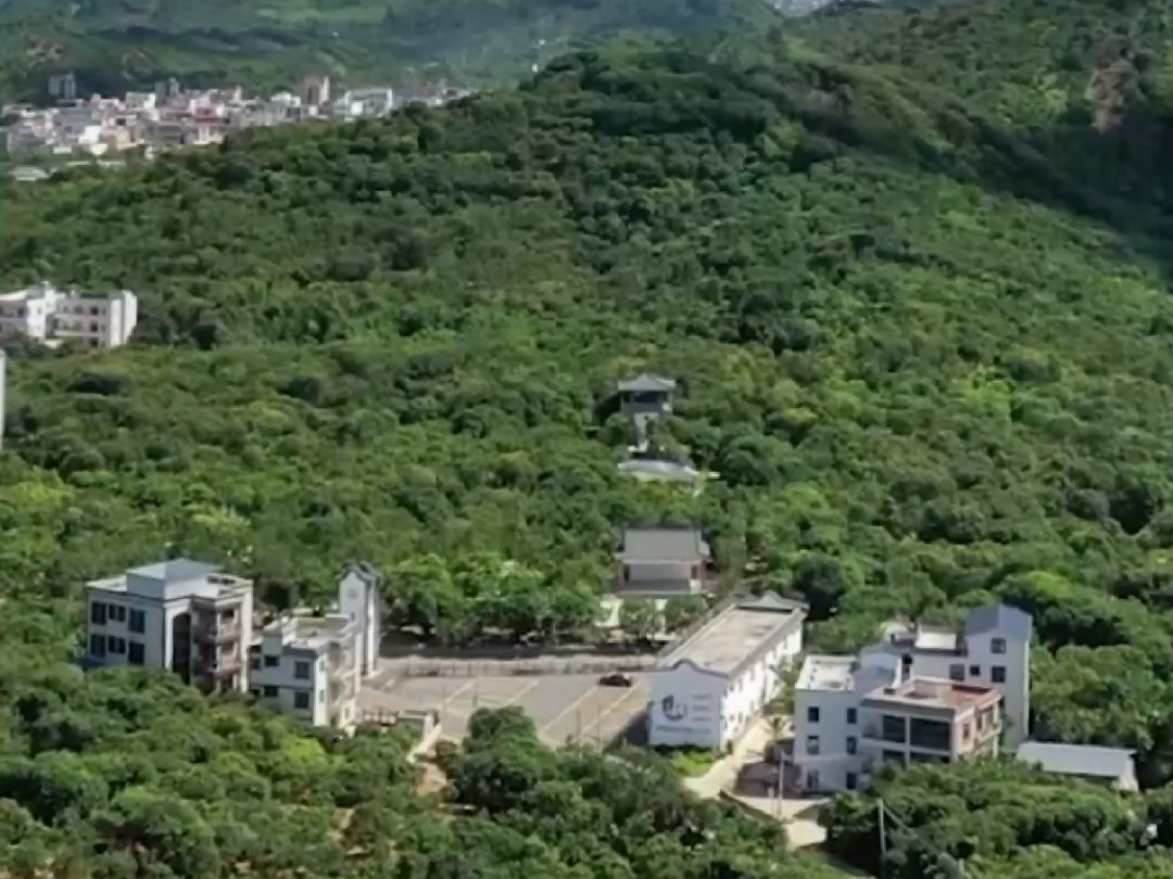 湾区三分钟丨千年荔路今再启 一颗荔枝有多少种可能？