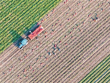 “三农”摸底新变化