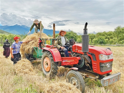 把“桃花村”品牌擦得更亮（回信背后的故事）