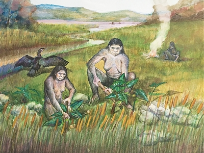 勾勒古人类生活图景