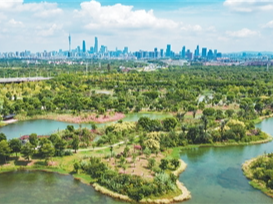 “城市绿心”律动人与自然的和谐乐章（深阅读·人与自然和谐共生的现代化）