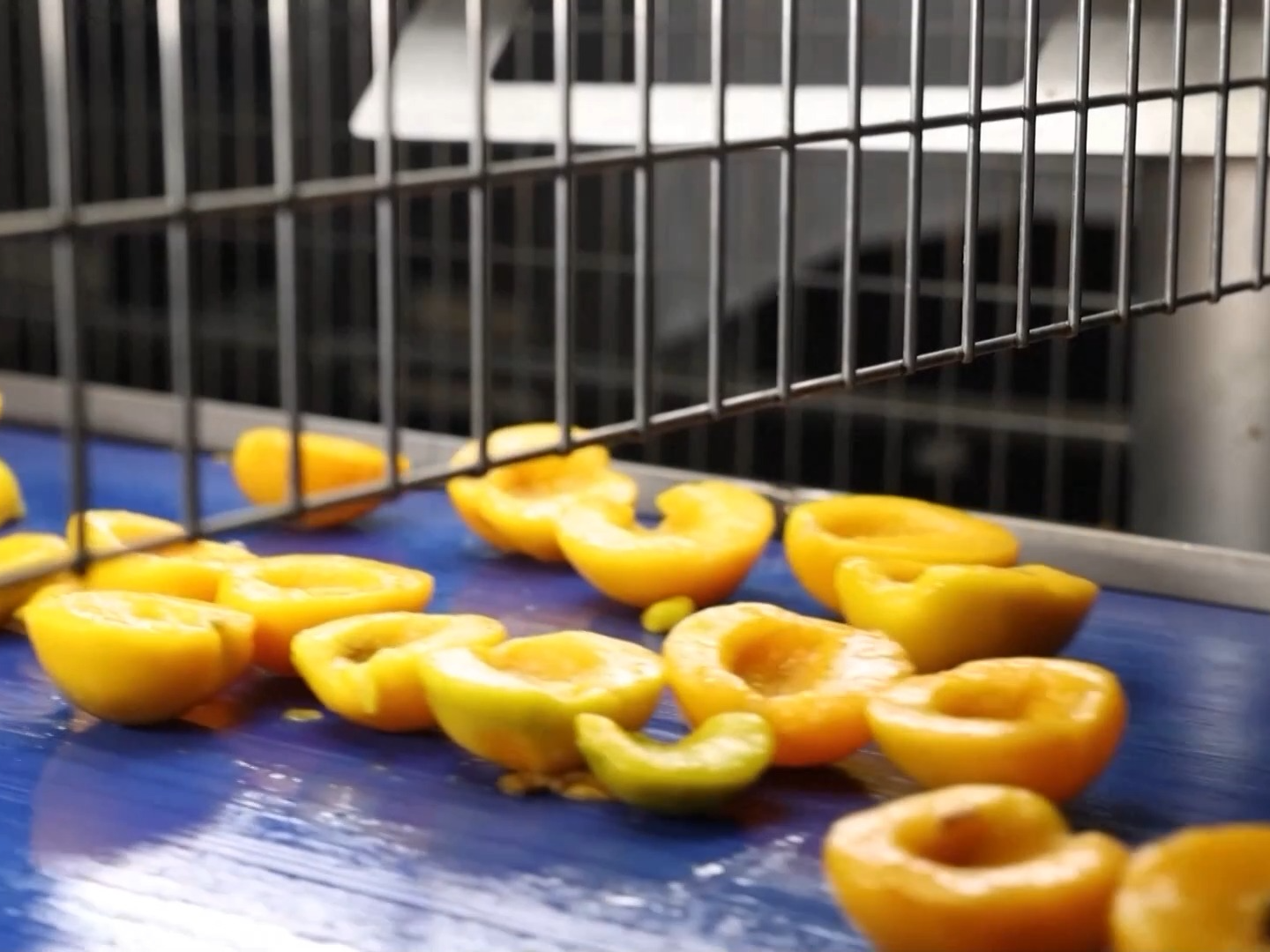 美加征30%关税进入倒计时 欧洲果农酒商担忧产品滞销