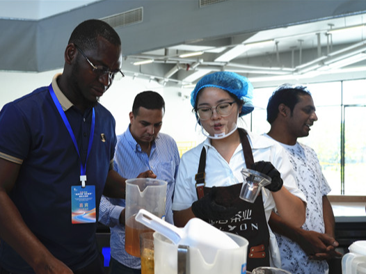 机遇中国 多彩贵州｜干了这杯新茶饮！中国茶新表达“圈粉”海外青年