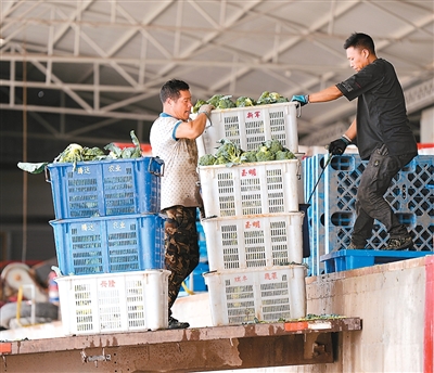 农业农村经济发展势头良好（锐财经·年中经济观察②）