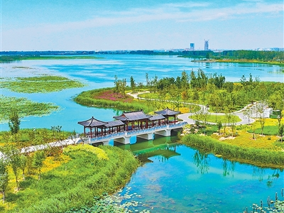 白洋淀 更透亮（我家门前有条河）