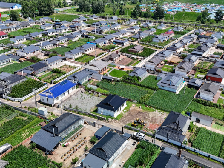 活力中国调研行|从这里一窥东北乡村的未来——走进光东村