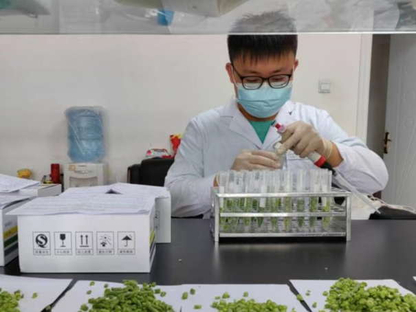 我的新疆故事丨菜篮子里的民生跃迁