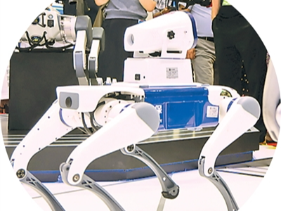 一条链，串起机遇“繁花”朵朵