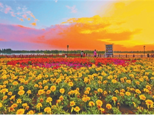 康养旅居，“慢游”撬动大市场（大数据观察）