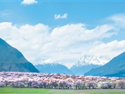 雪域高原的幸福篇章