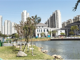 健康城镇，藏在这些细节里（健康焦点）