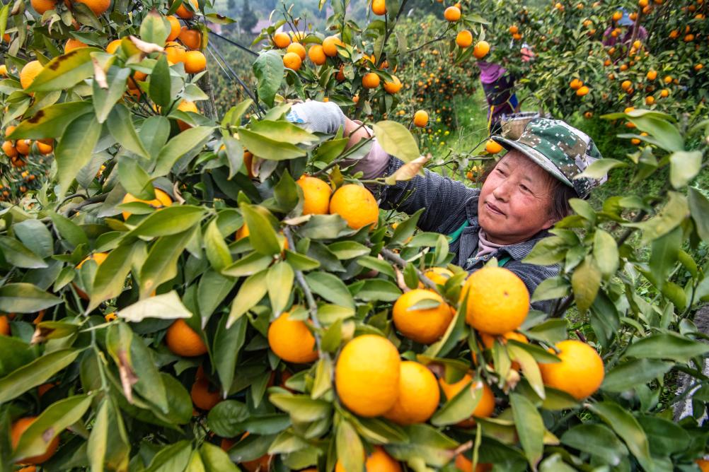 国际观察丨中拉为全球人权治理贡献“南方智慧”