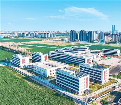 财政政策有温度有力度（锐财经·年中经济观察⑧）