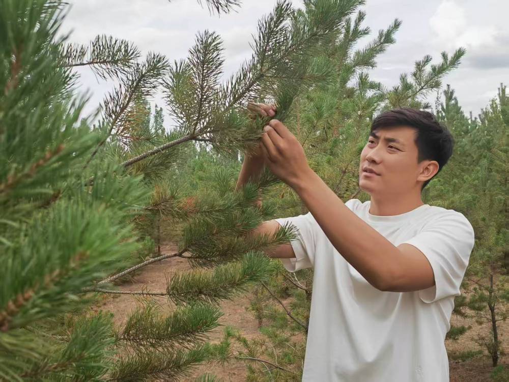 报效祖国 建功西部|大漠深处三代人的绿色守望