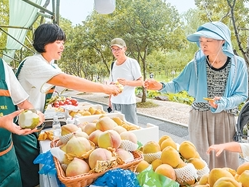 数数“果篮”“菜篮”里的“第一”（“十四五”，我们见证这些“第一”①）