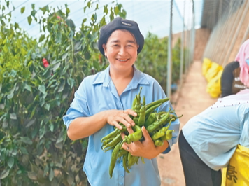 细算一个脱贫户的家庭收支账（不掉队 赶上来）