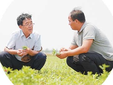 奏响新时代“黄河大合唱”的草牧乐章