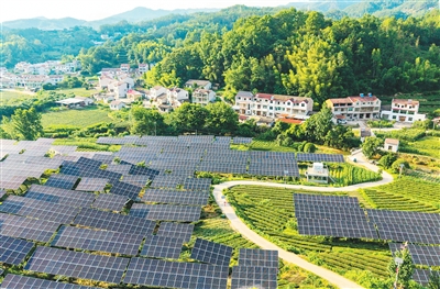 中国绿色创新释放更多红利（国际论道）