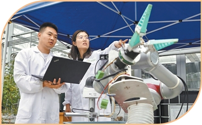 智慧农场，科技拓展想象（大数据观察）