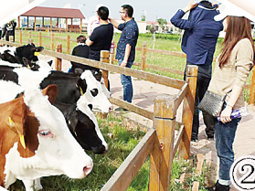 乳制品供给侧带动消费新趋势