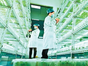 人才储备，三个之最和一个500万（“十四五”，我们见证这些“第一”⑥）