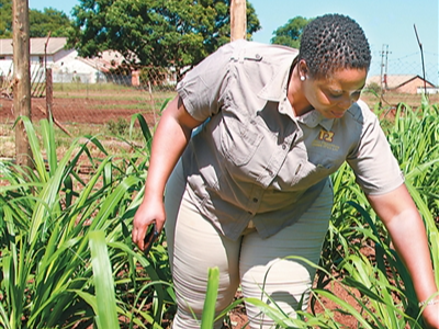 “两山”理念给世界带来了什么？