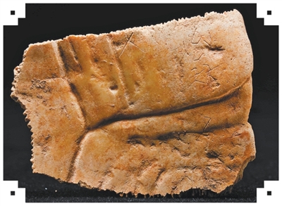 探秘周原遗址的“三重城”（赓续历史文脉·考古故事）