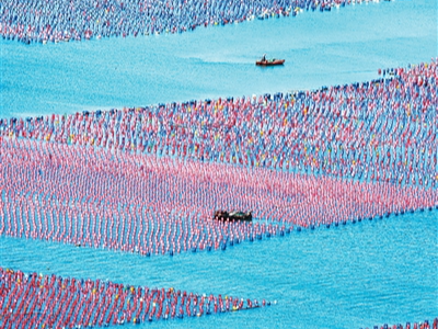 看看咱超700亿斤的“海产库”（“十四五”，我们见证这些“第一”⑦）