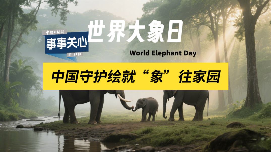 事事关心 | 中国守护绘就“象”往家园