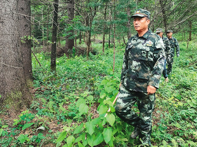 守护青山，就是守护未来（山水间的财富密码①）