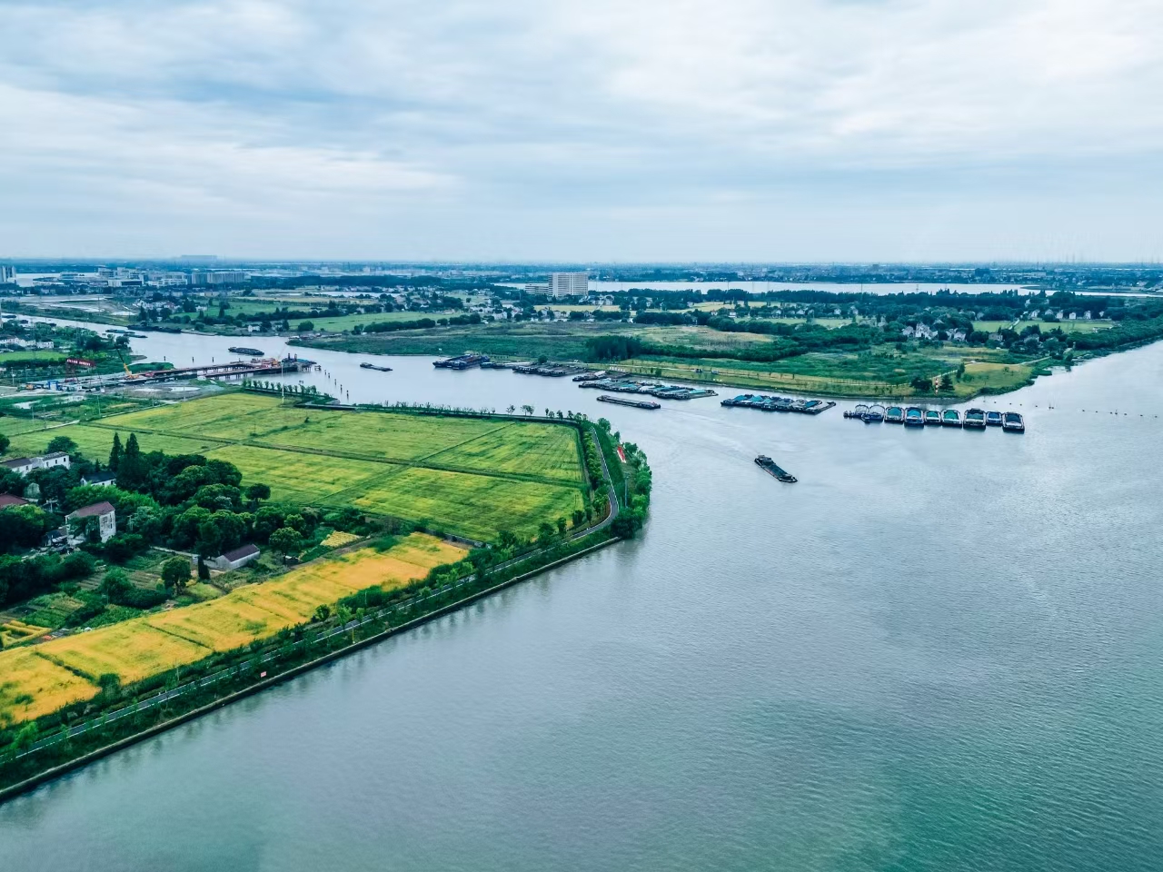 高质量发展故事汇丨向“绿”而兴 协同推进降碳减污扩绿增长