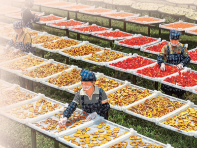 水果还有哪些新吃法？（“果”然不简单⑤）