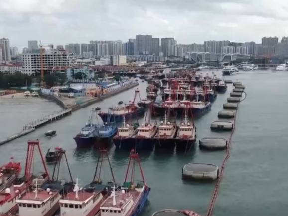 “开海仪式+特色民俗”迎出海 乡村文旅“小切口”撬动渔村“大变化”