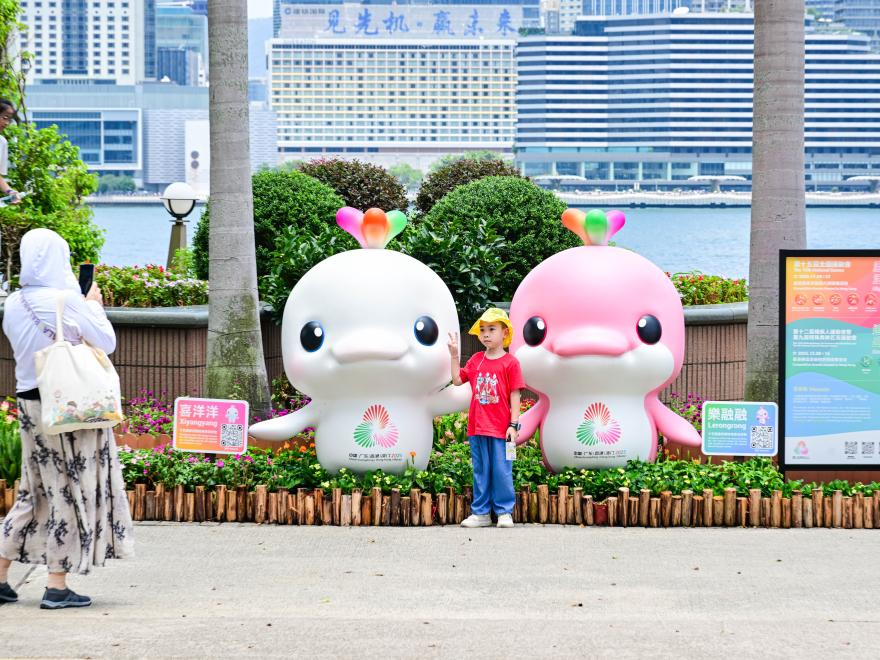 湾区携手 神州共盼——写在第十五届全国运动会倒计时100天之际