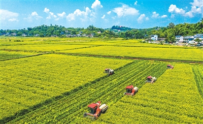 中国经济发展“含金量”不断提高（锐财经·年中经济观察⑪）