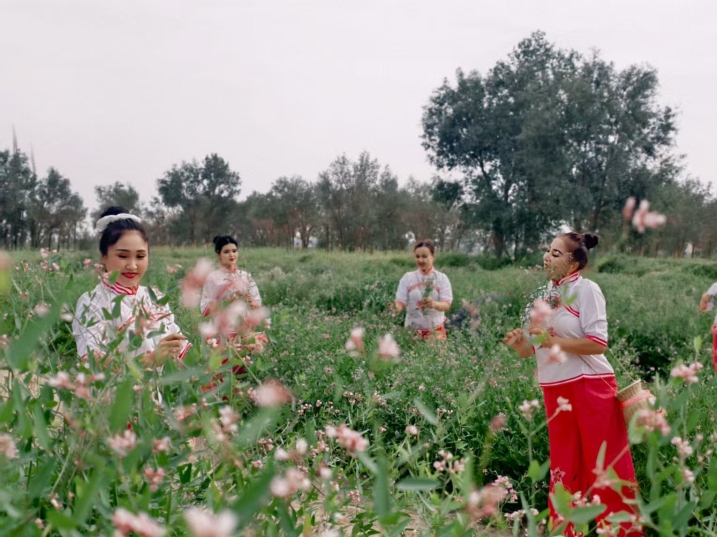 新疆高质量发展图鉴：烟火人间奋斗劲