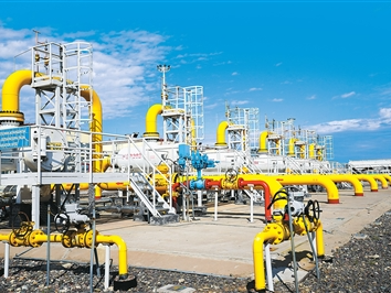 “蓝色火苗”背后的合作与信赖（上合大家庭 生活新变化②）