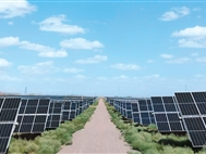 沙、草、光伏的“协奏曲”（山水间的财富密码③）