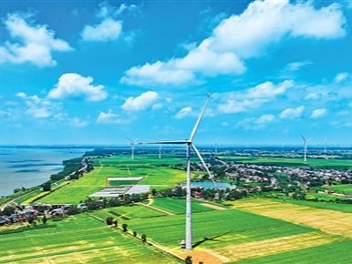 供应更足 韧性更强（锐财经）