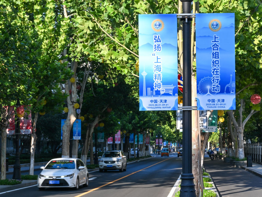 上合组织天津峰会｜弘扬“上海精神”　凝聚“上合力量”——多国人士热切期待2025年上海合作组织峰会举行
