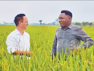 “为布隆迪农业发展注入新动力”（共创繁荣发展新时代）