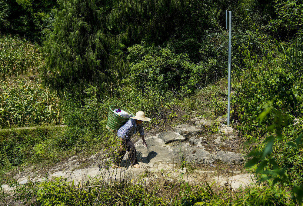 诗意中国｜荔枝驿路蜀道不再难