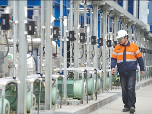 这些跨国企业如何在四川深耕发展（见证·中国机遇）