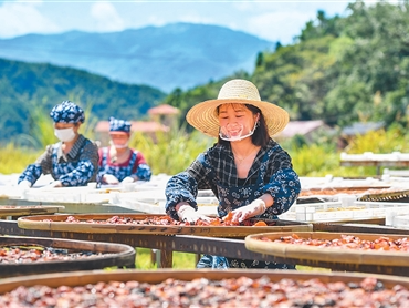 “您有一份秋游攻略待查收”