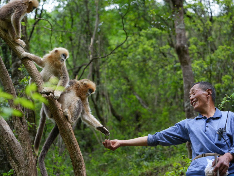 新华全媒+｜首次立法！国家公园筑起“法治屏障”