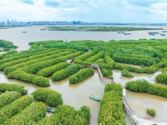 碳市场2.0，中国这样布局