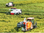 中国人的饭碗端得更牢