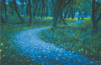 绿色生境带来美丽回馈